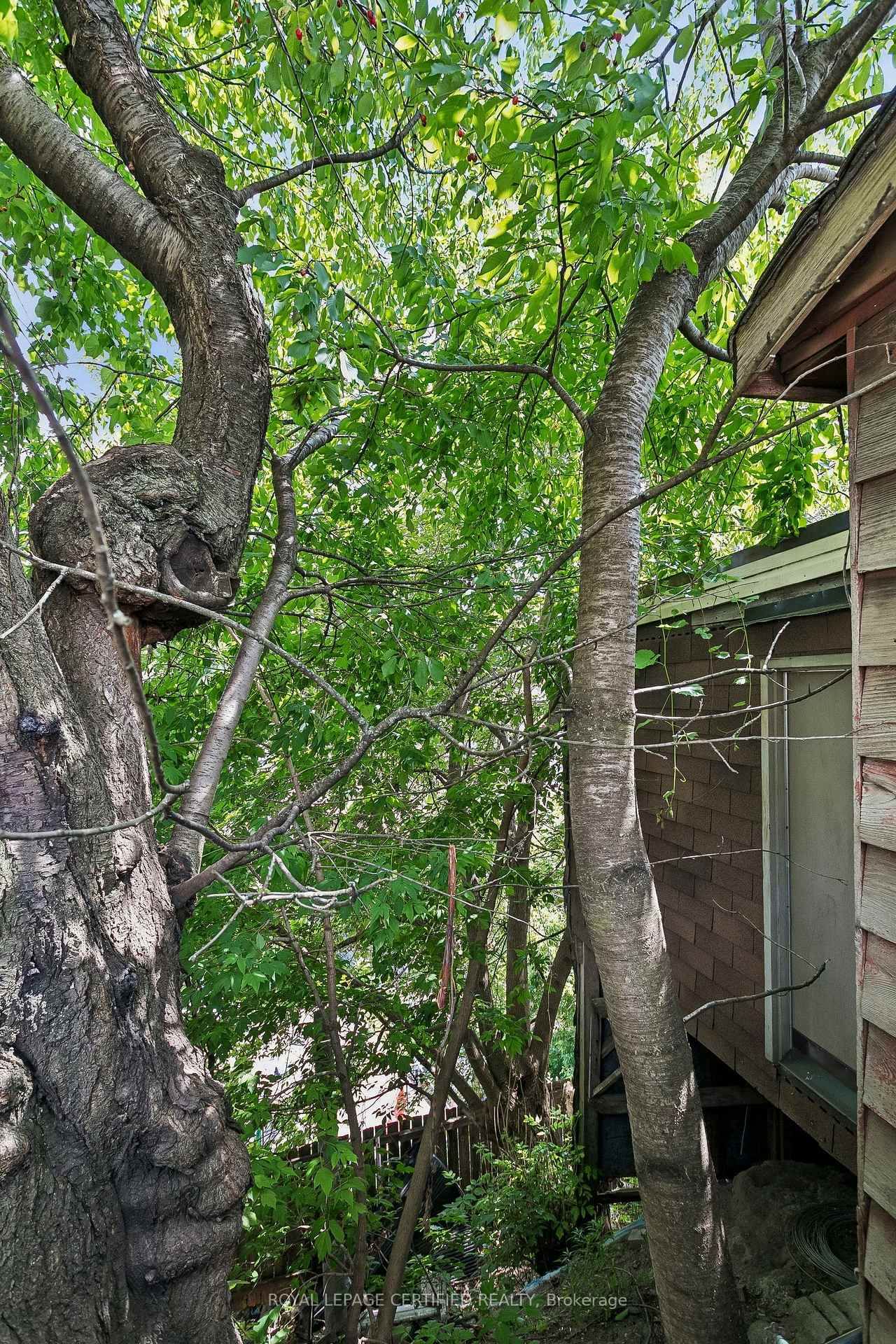 Listing Image 35