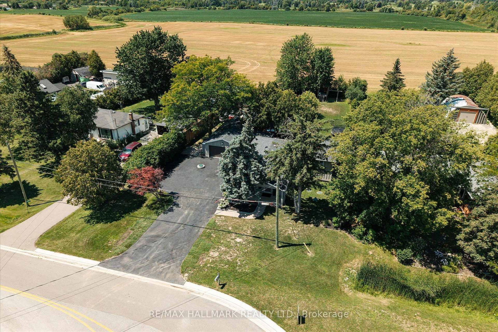 Listing Image 3