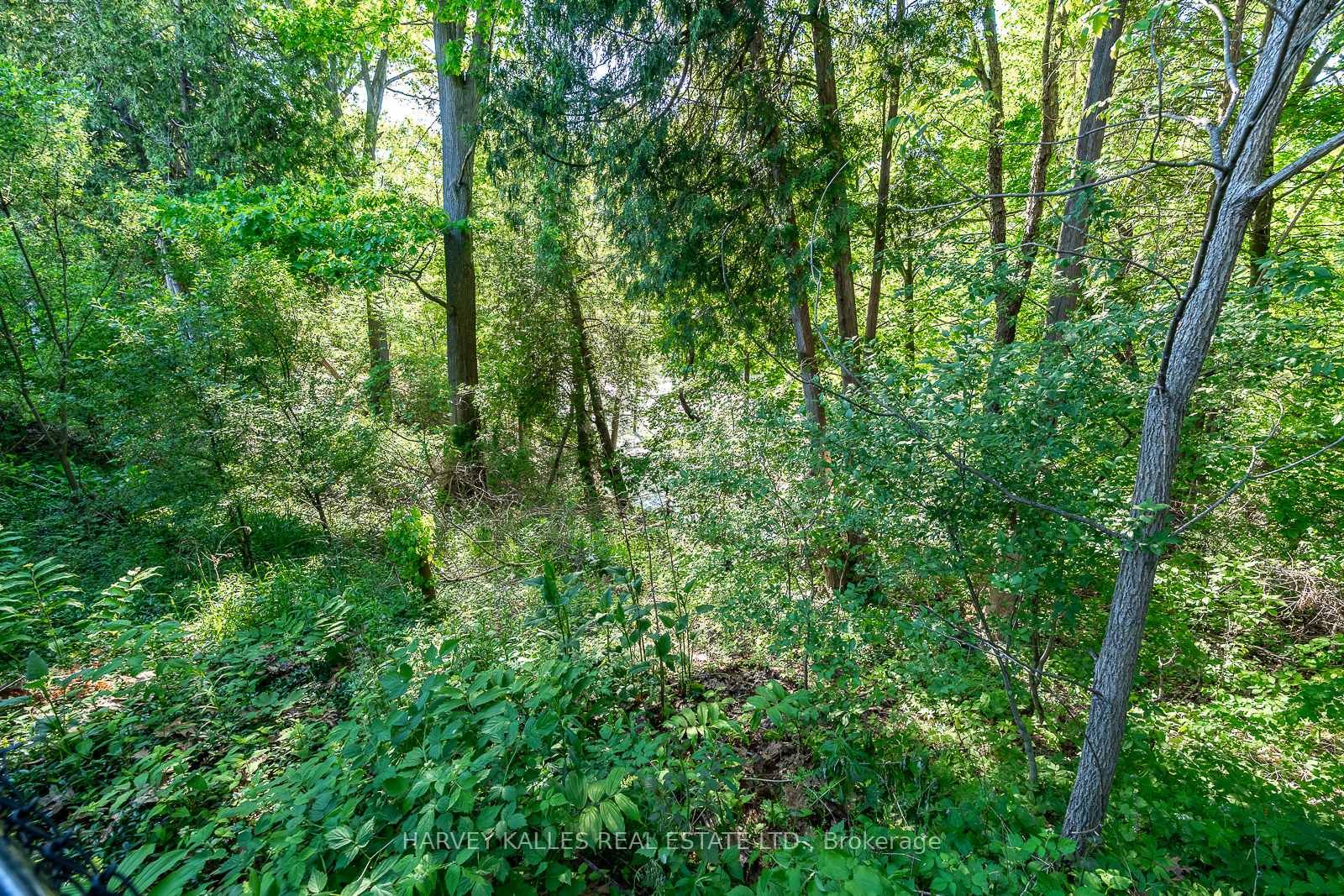 1033 Fair Birch Drive • Mississauga, ON photo 43