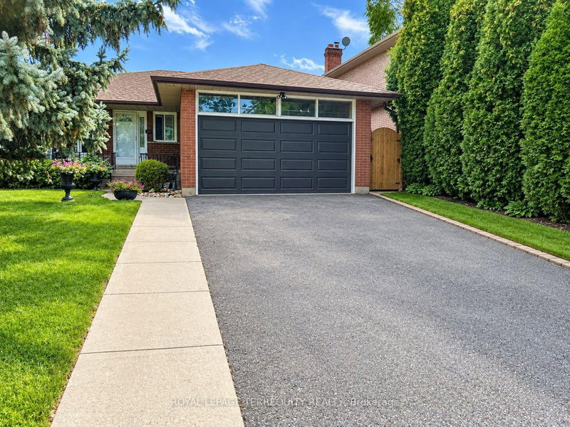 Lower - 896 Fourth Street