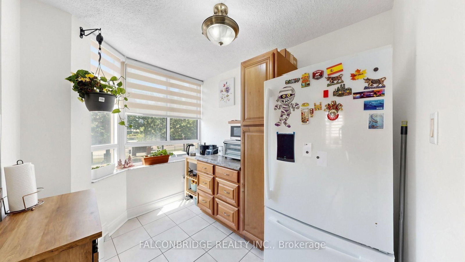 5 Lisa Brampton,ON L6T 4T4 — Photo 15