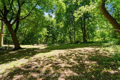 41 Mill Mississauga,ON L5M 1Y3 — Photo 37