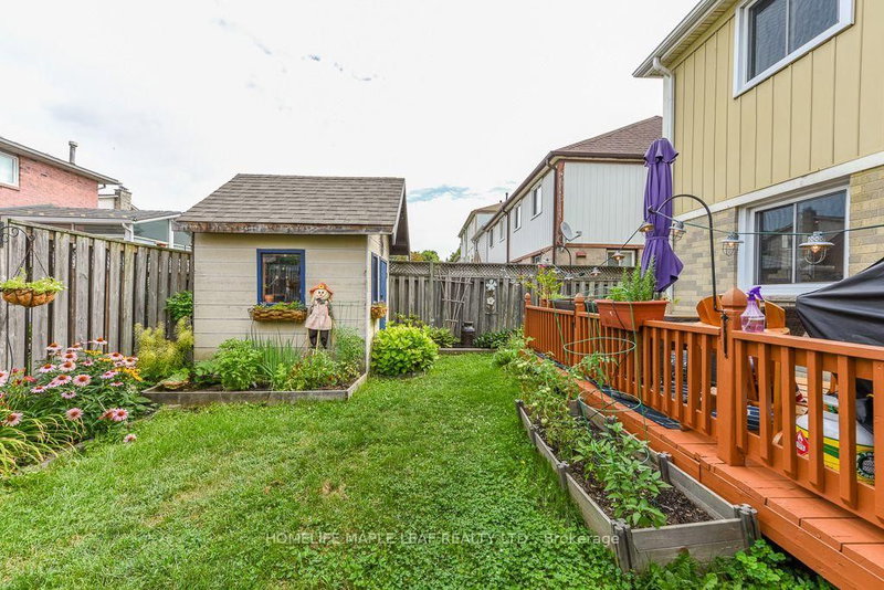 30 Primrose Brampton,ON L6Z 1E2 — Photo 46