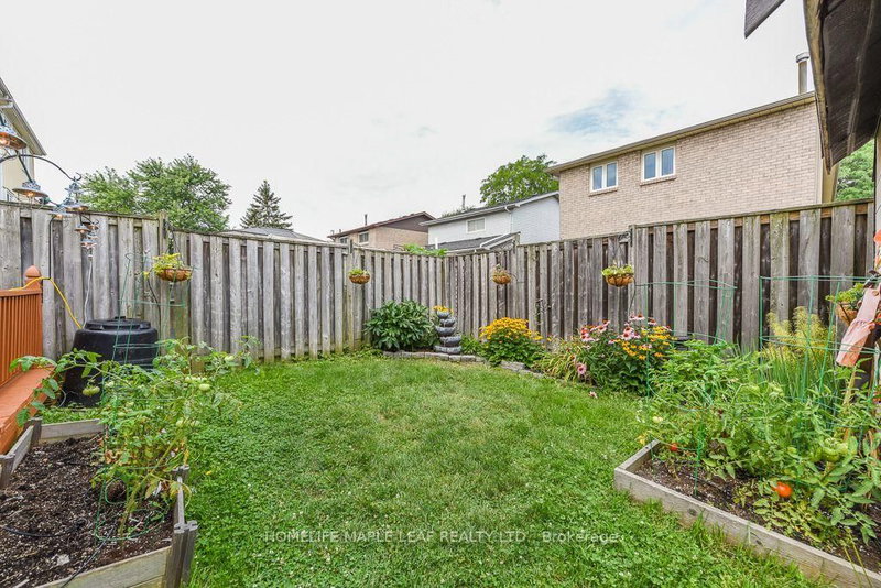 30 Primrose Brampton,ON L6Z 1E2 — Photo 49