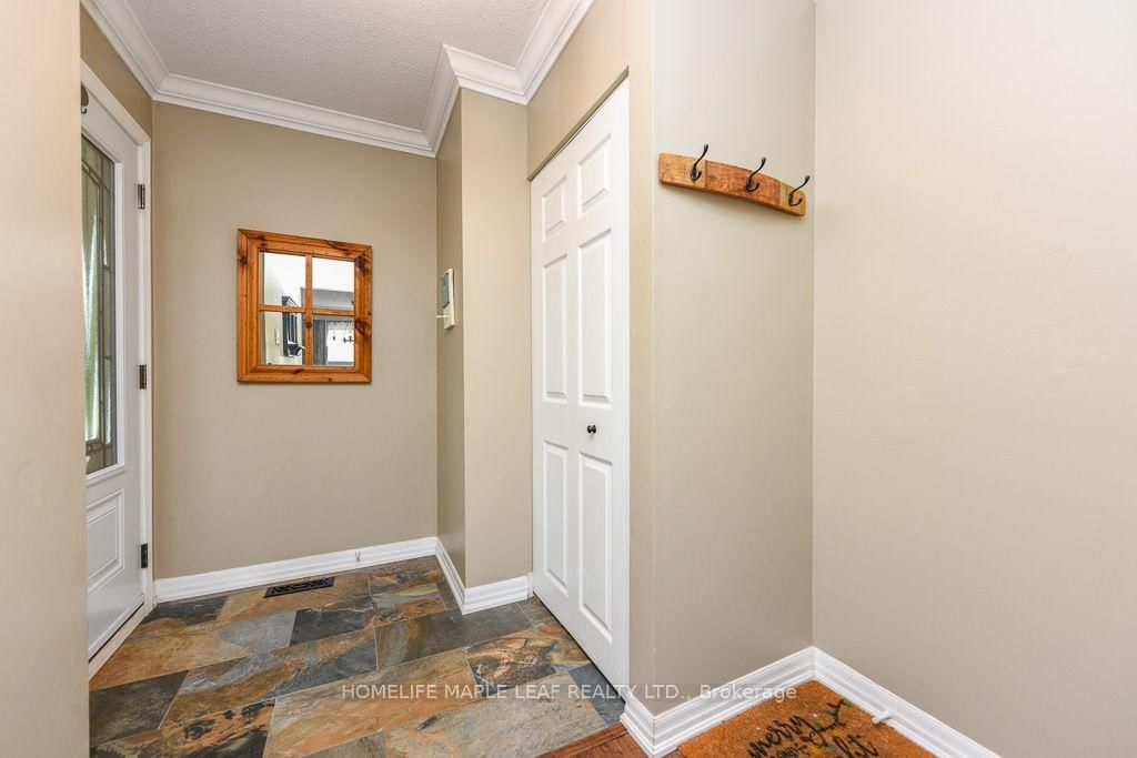 30 Primrose Brampton,ON L6Z 1E2 — Photo 8