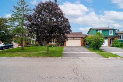 29 Blackthorn Brampton,ON L6V 3K7 — Photo 1