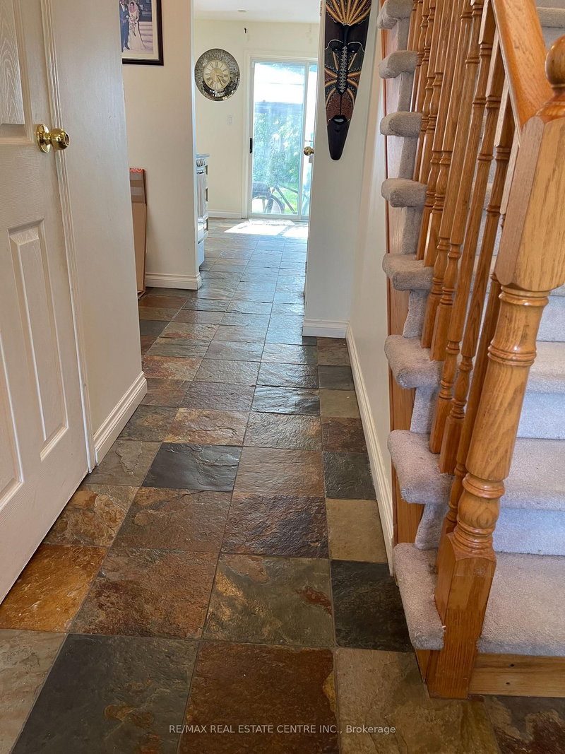 3223 Shadetree Drive