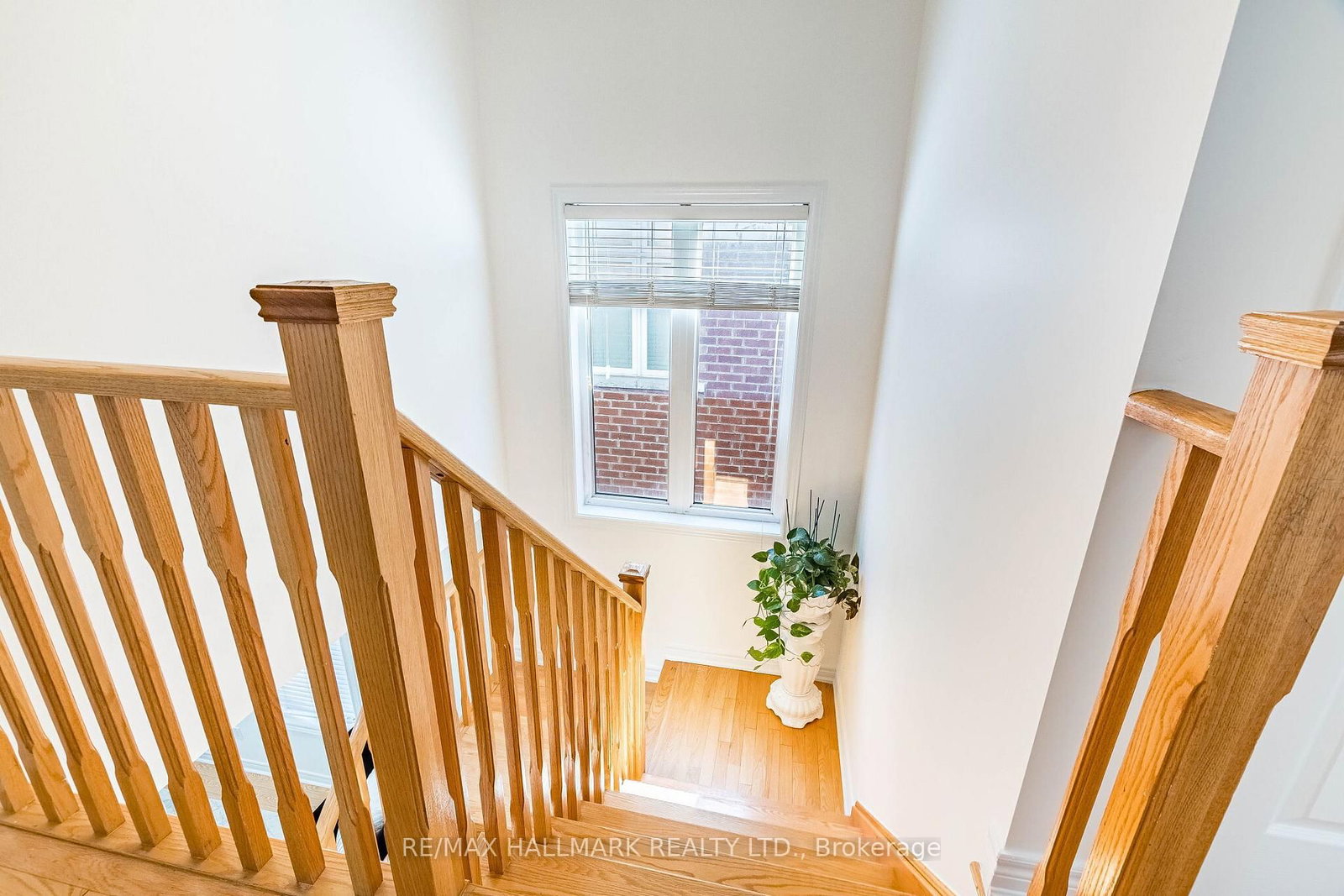4 Callalily Road • Brampton, ON photo 20