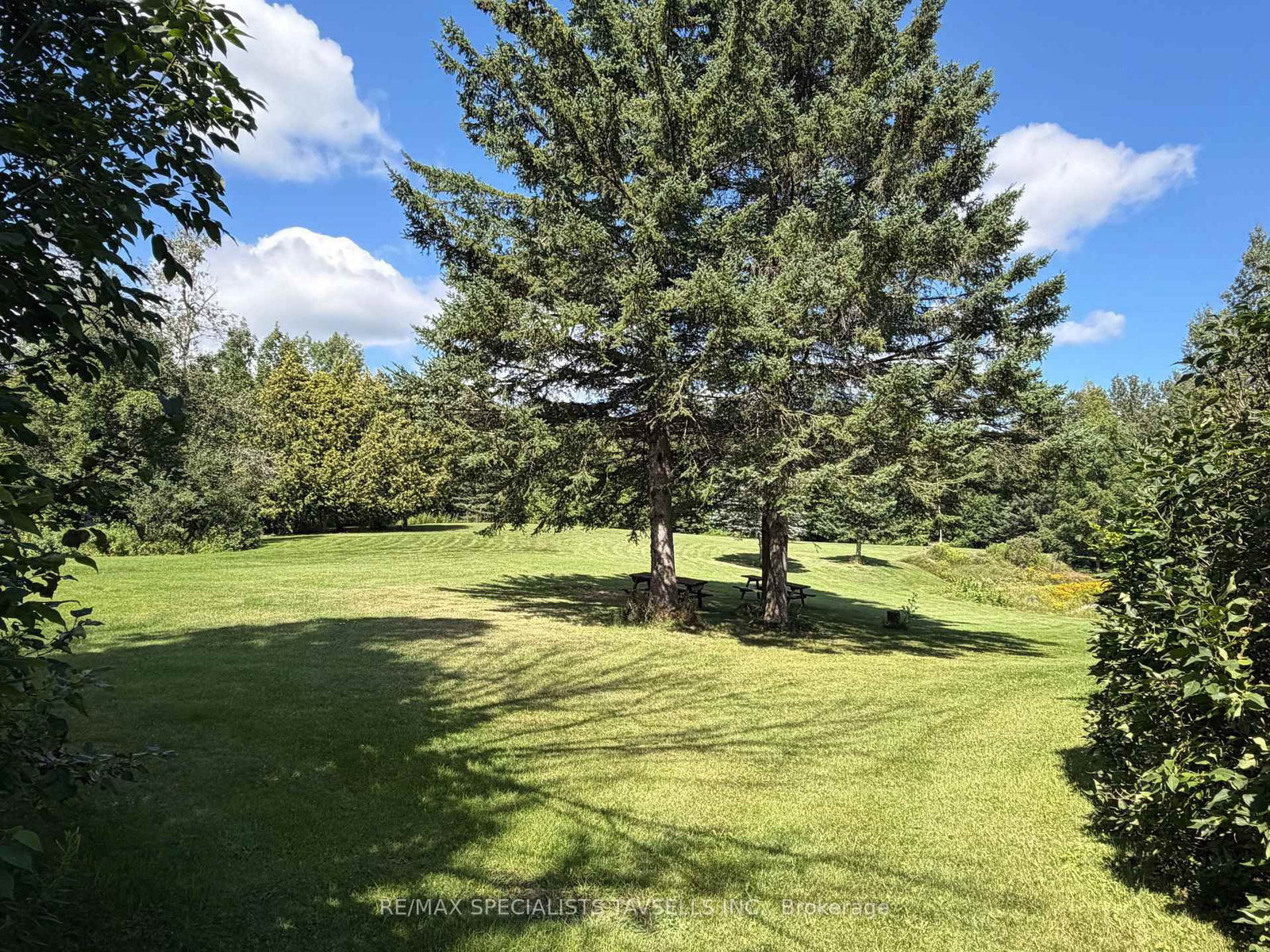 18606 Horseshoe Hill Road • Caledon, ON photo 13