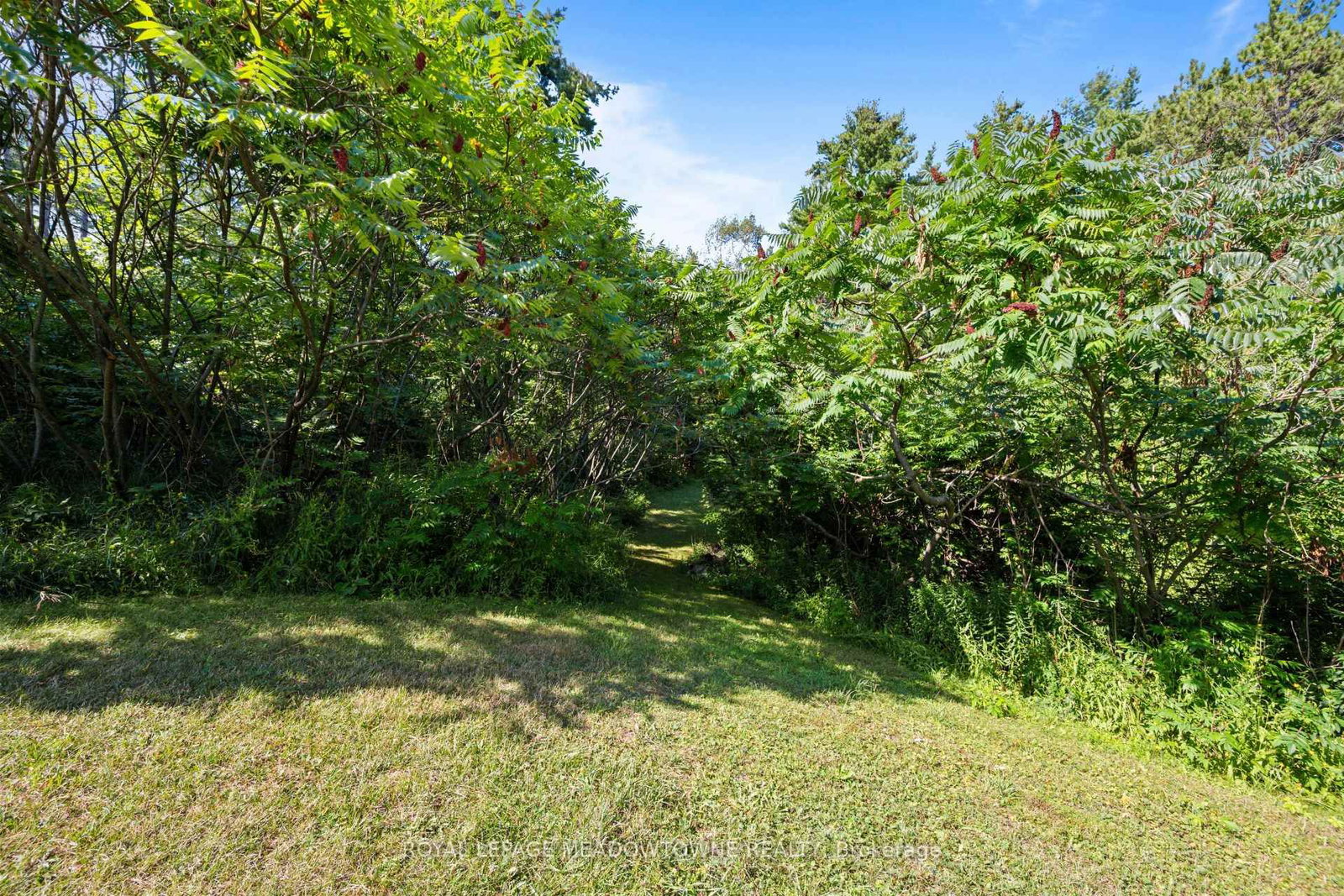 16703 Mississauga Road E • Caledon, ON photo 32