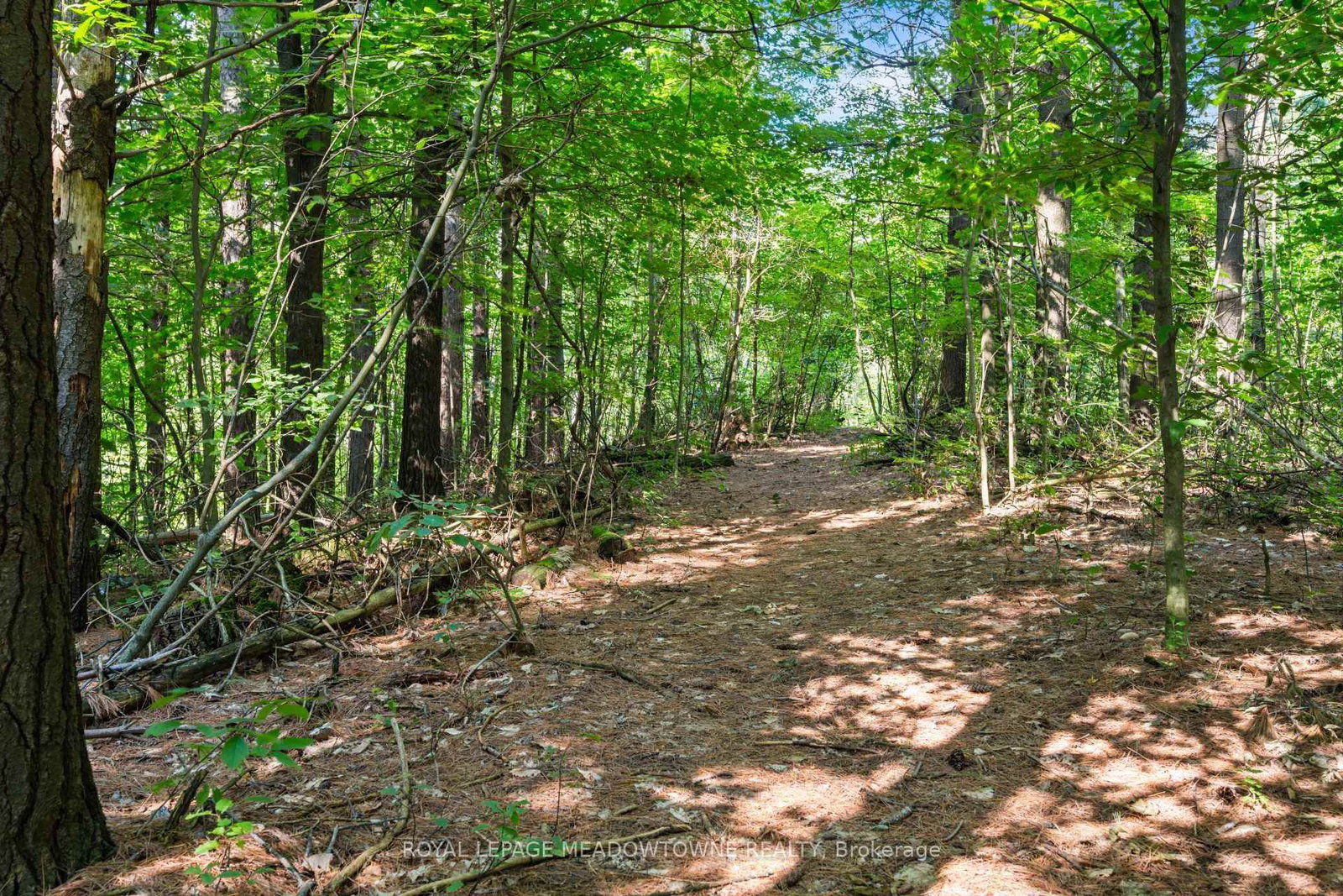16703 Mississauga Road E • Caledon, ON photo 36