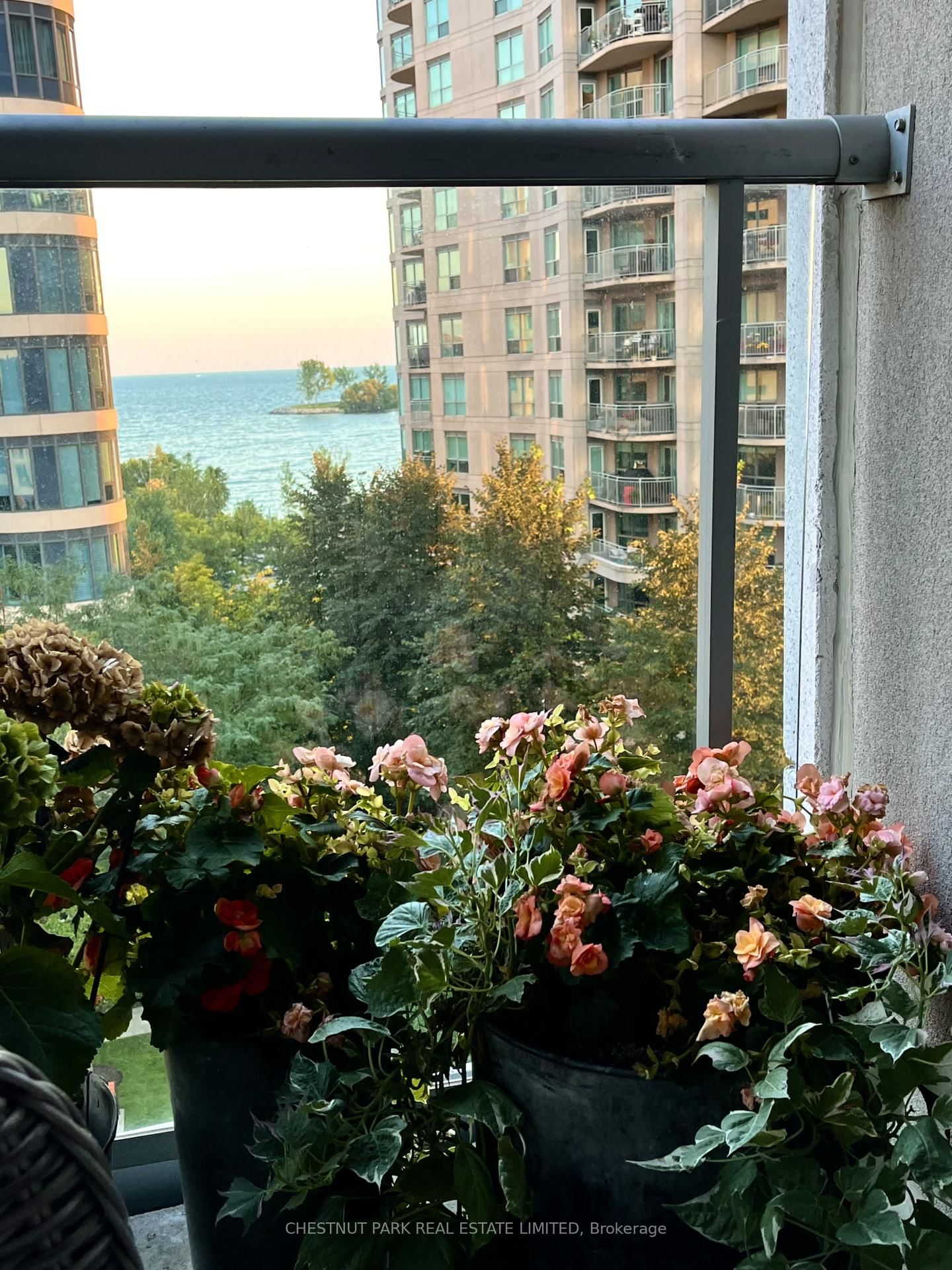 2087 Lake Shore Toronto,ON M8V 4G3 — Photo 23