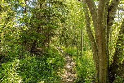 5174 Ravine Crescent • Burlington, ON photo 8