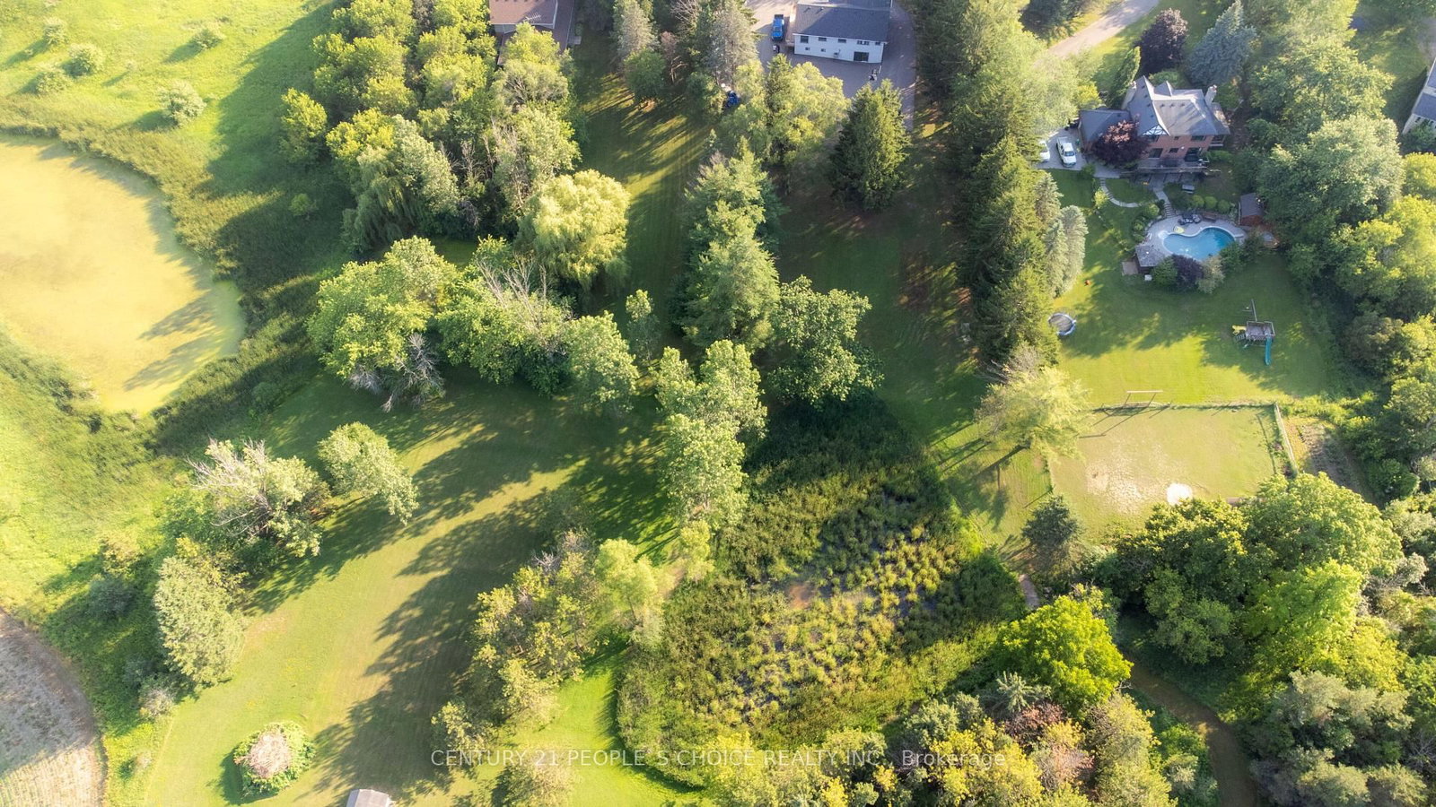 15553 The Gore Road • Caledon, ON photo 49