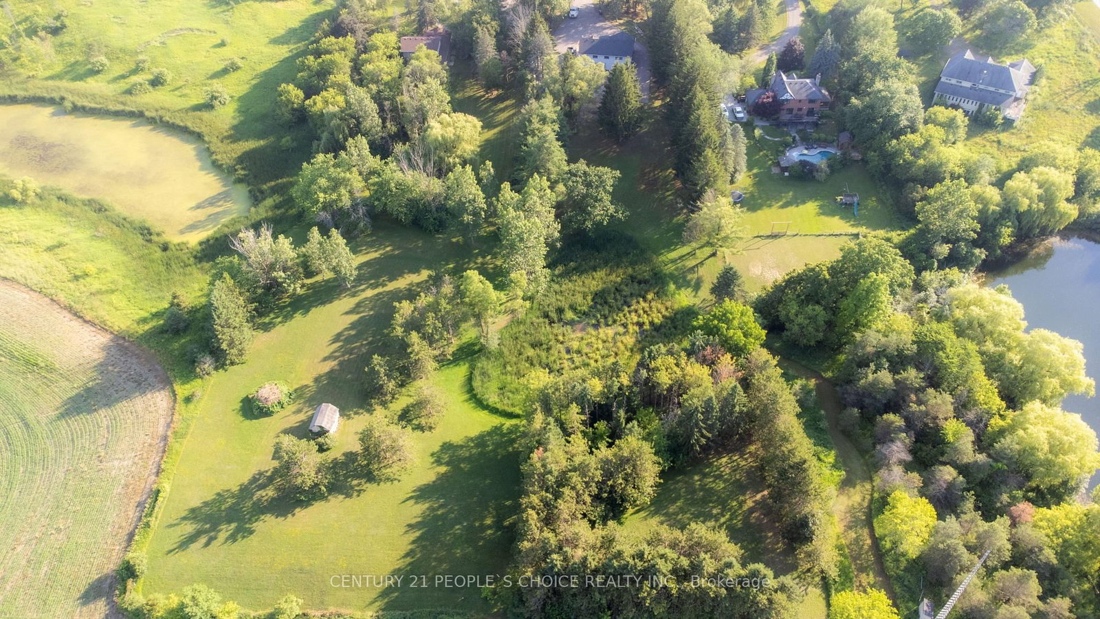 15553 The Gore Road • Caledon, ON photo 50