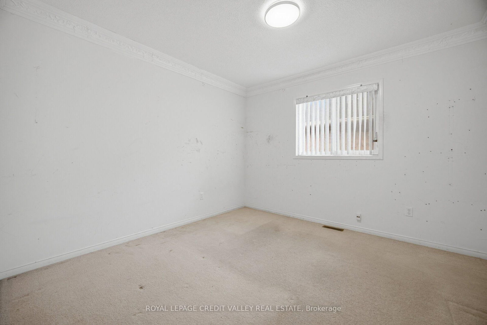 31 Capistro Street • Brampton, ON photo 34