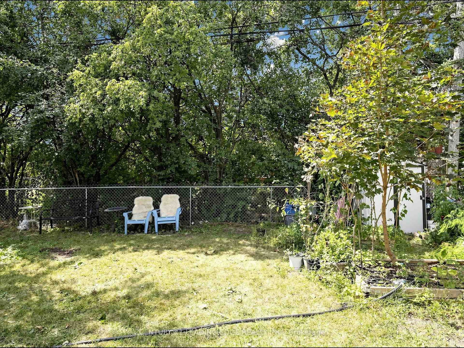17 Tinton Crescent • Toronto, ON photo 29