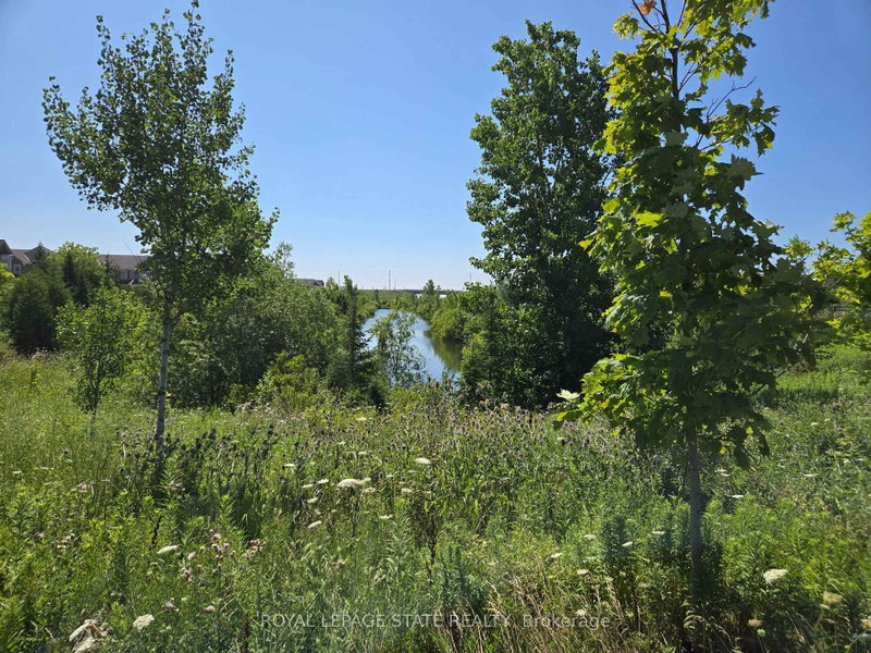 50 Dredge Court