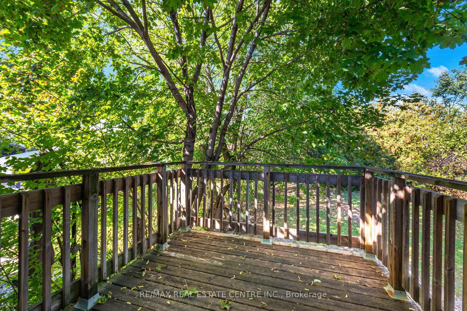 34 windermere Court • Brampton, ON photo 25