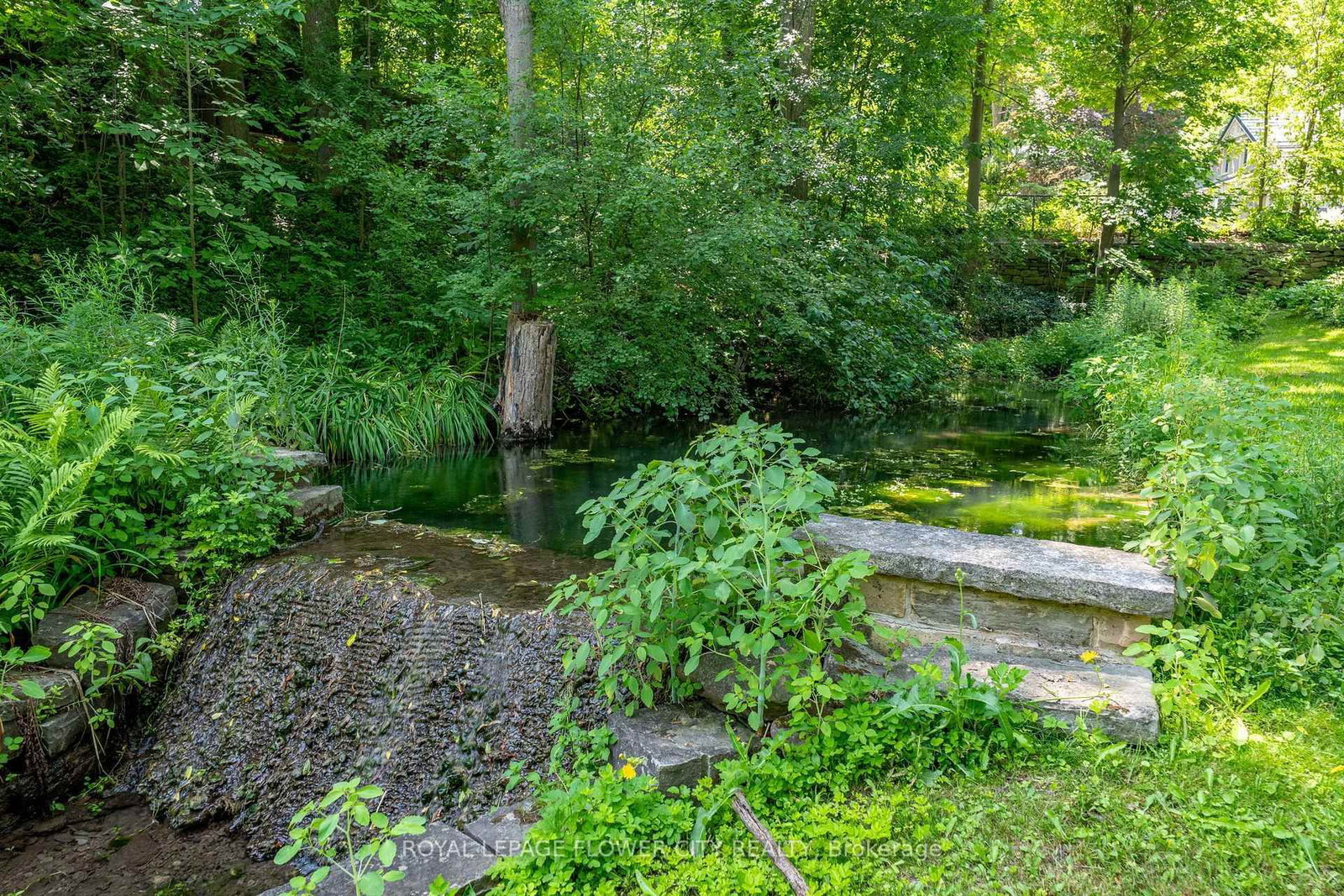 15626 Mclaughlin Road • Caledon, ON photo 20
