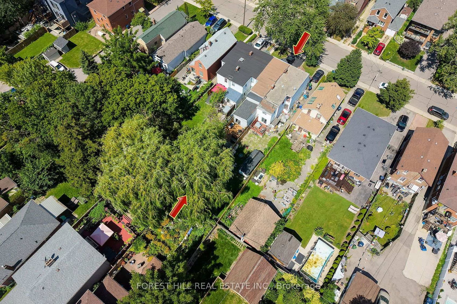 55 Vanevery Street • Toronto, ON photo 29