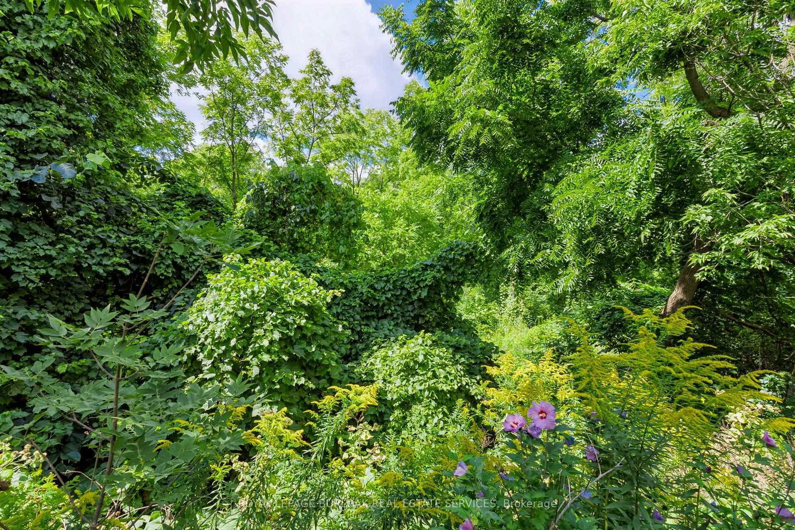 5151 Upper Middle Road • #11 • Burlington, ON photo 37
