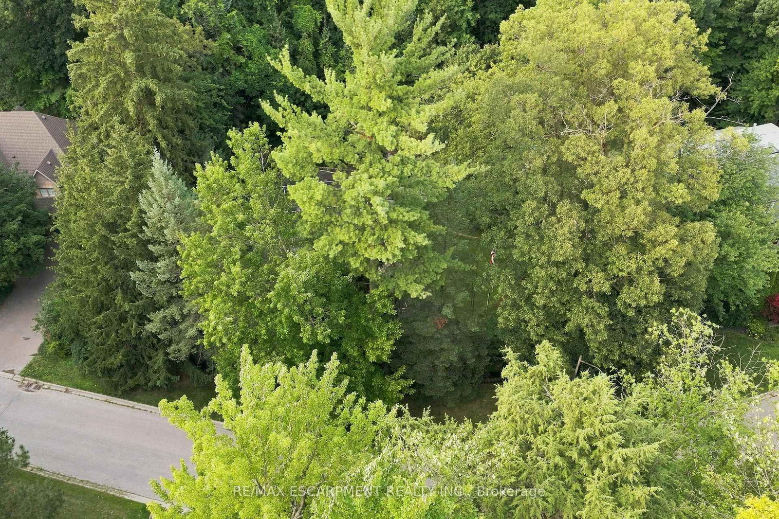 2035A Heartwood Court • Mississauga, ON photo 7