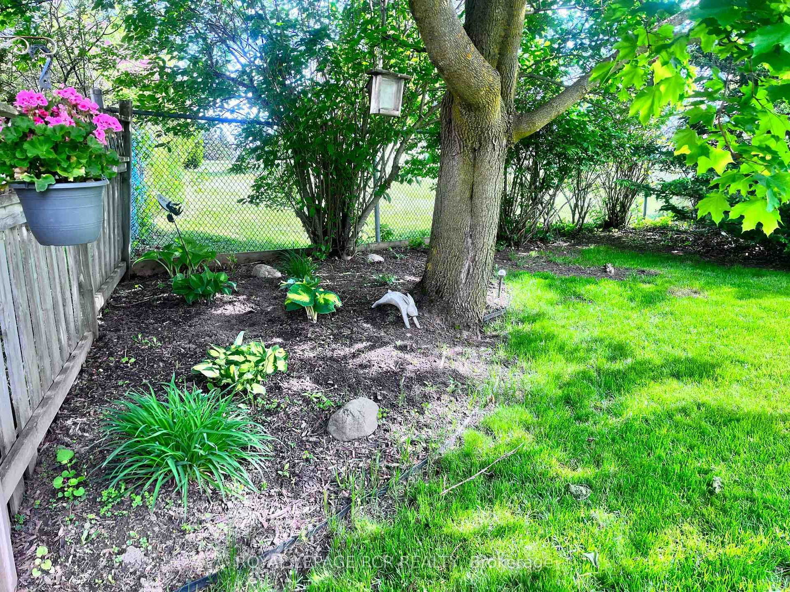 515 College Avenue • Orangeville, ON photo 29