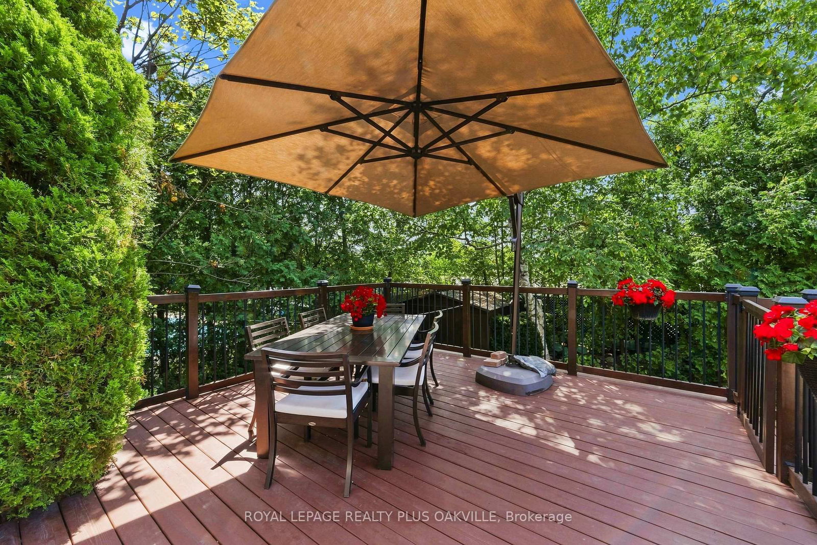 244 Willowridge Court • Oakville, ON photo 41