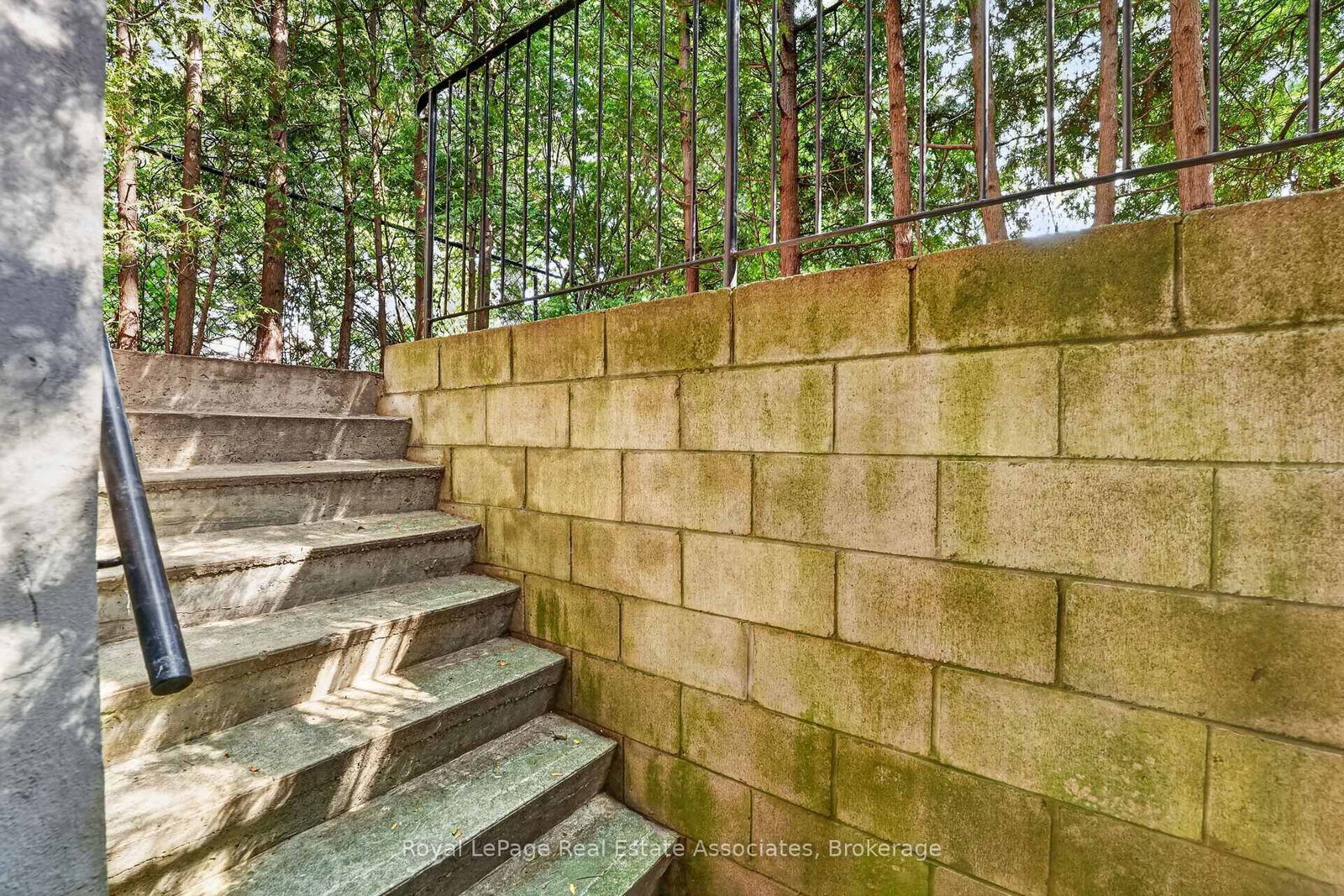 7 Greening Crescent • Toronto, ON photo 40
