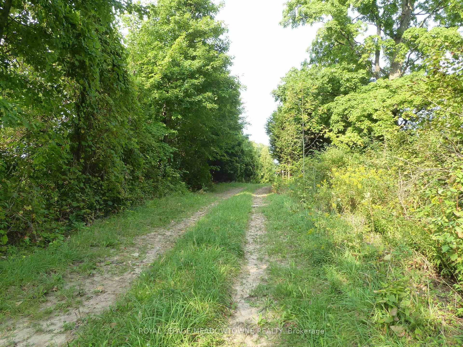 11080 First Line Nassagaweya • Milton, ON photo 12