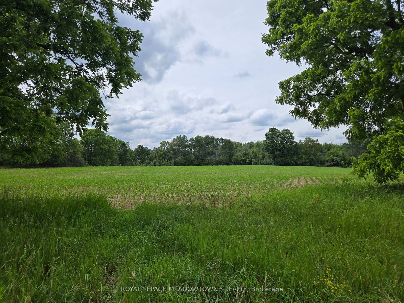 11080 First Line Nassagaweya • Milton, ON photo 13