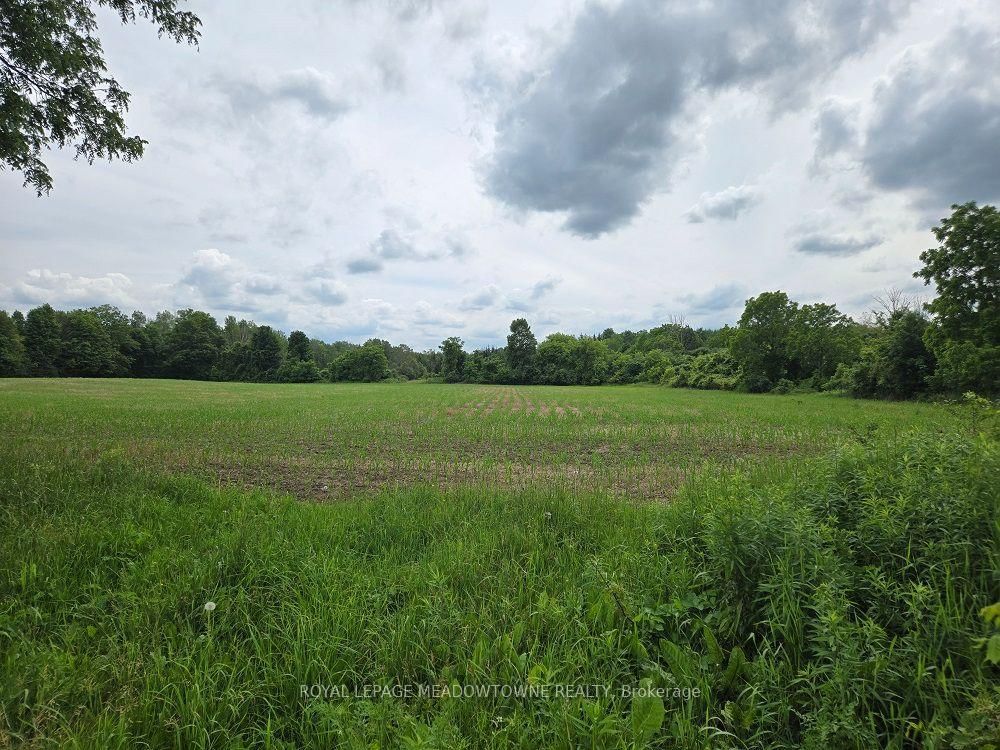 11080 First Line Nassagaweya • Milton, ON photo 14