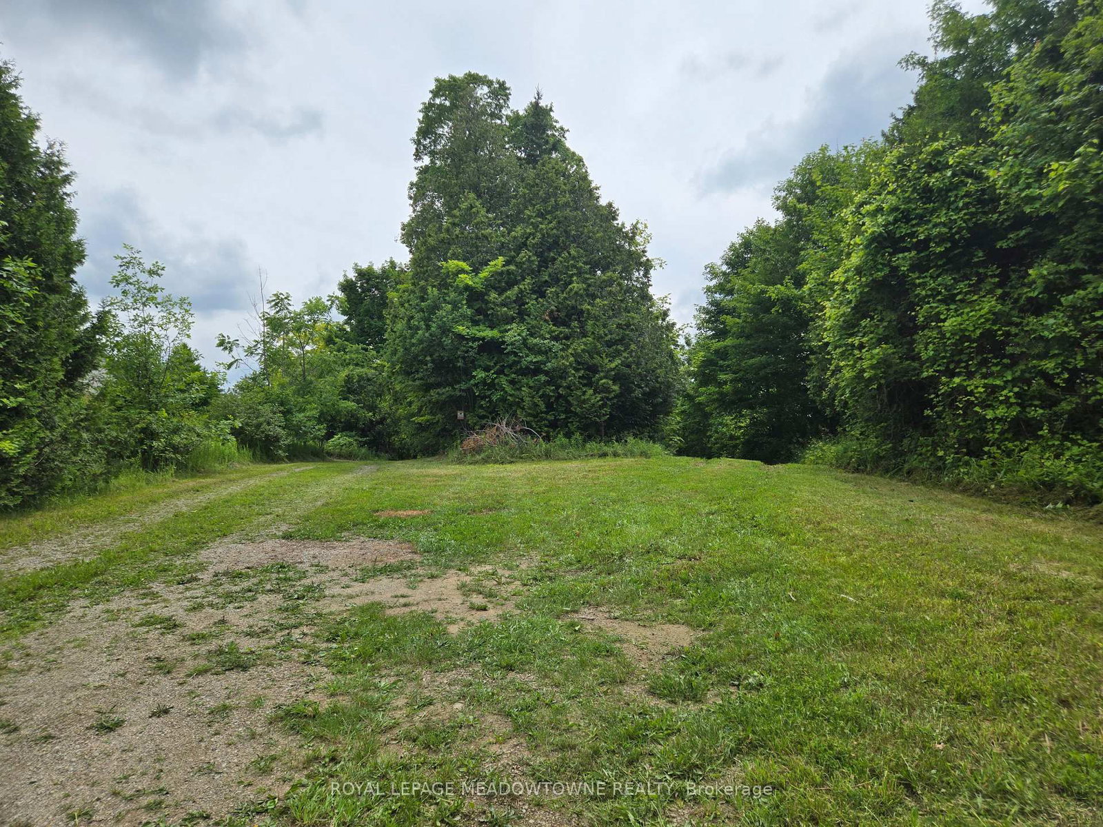 11080 First Line Nassagaweya • Milton, ON photo 15