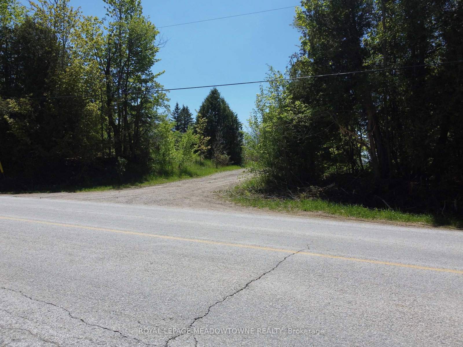 11080 First Line Nassagaweya • Milton, ON photo 16