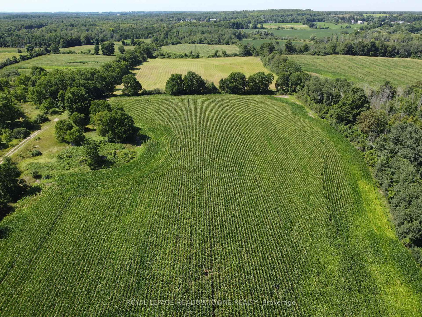 11080 First Line Nassagaweya • Milton, ON photo 17