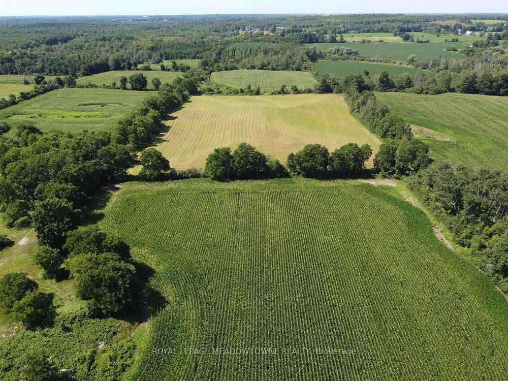 11080 First Line Nassagaweya • Milton, ON photo 2