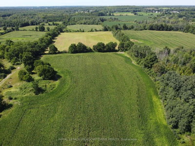 11080 First Line Nassagaweya • Milton, ON photo 7