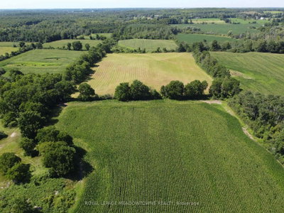 11080 First Line Nassagaweya • Milton, ON photo 8