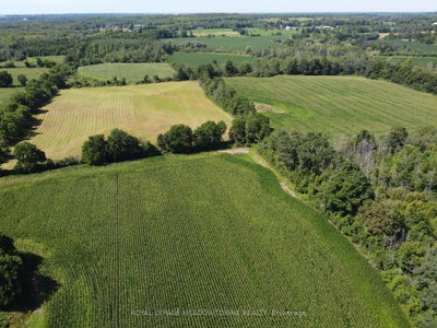 11080 First Line Nassagaweya • Milton, ON photo 9