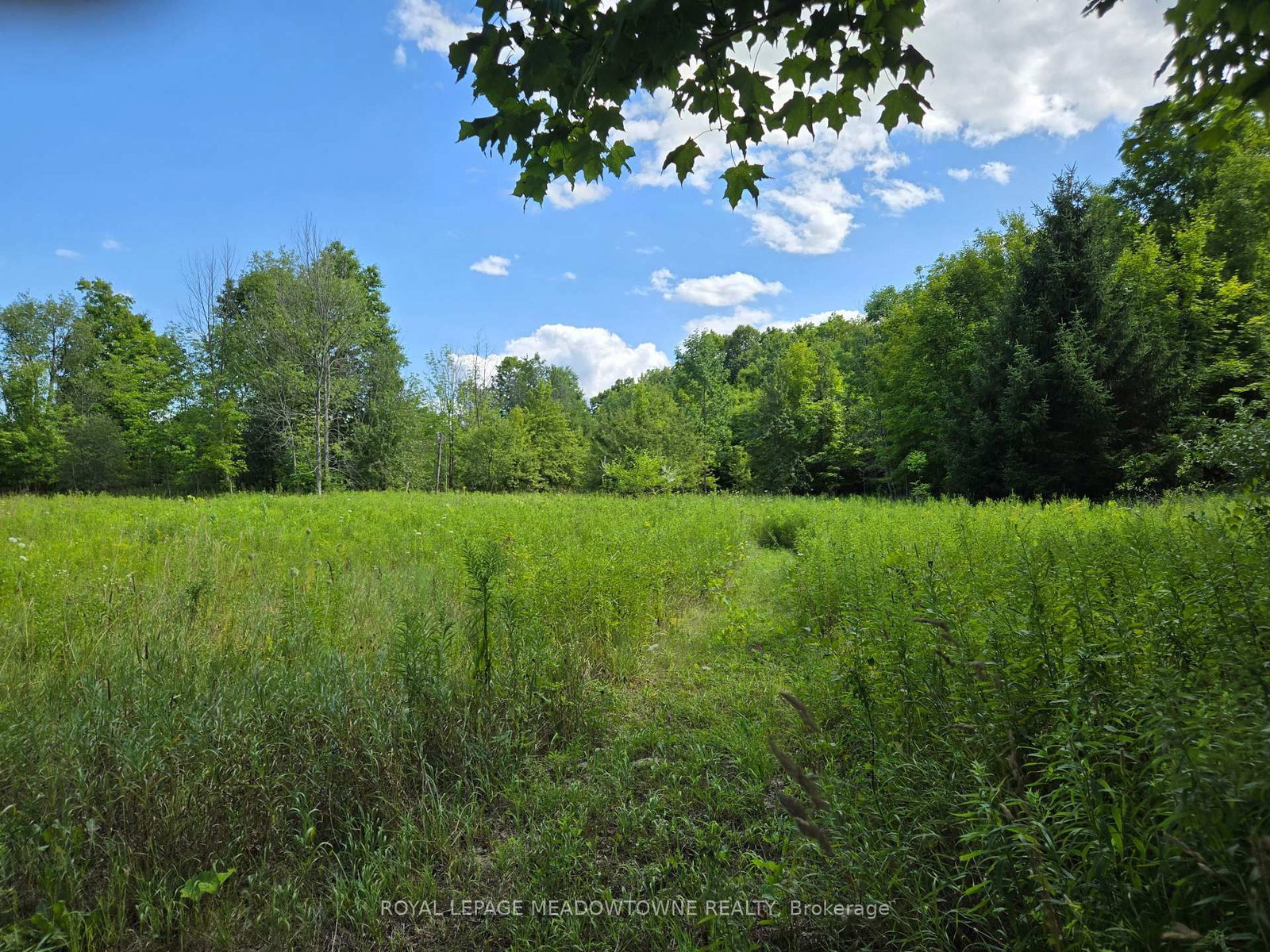 9414 First Line Nassagaweya • Milton, ON photo 1