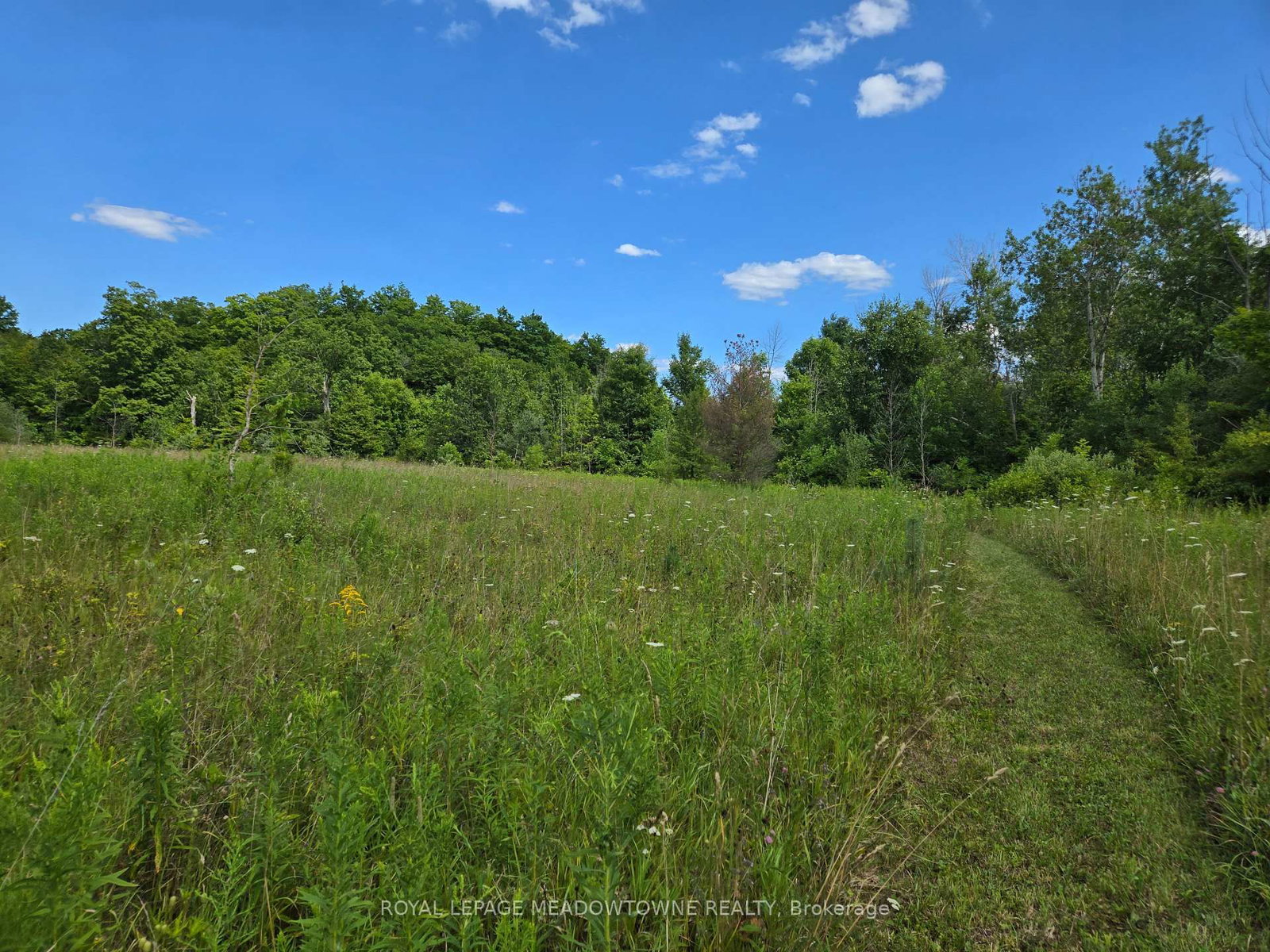 9414 First Line Nassagaweya • Milton, ON photo 10