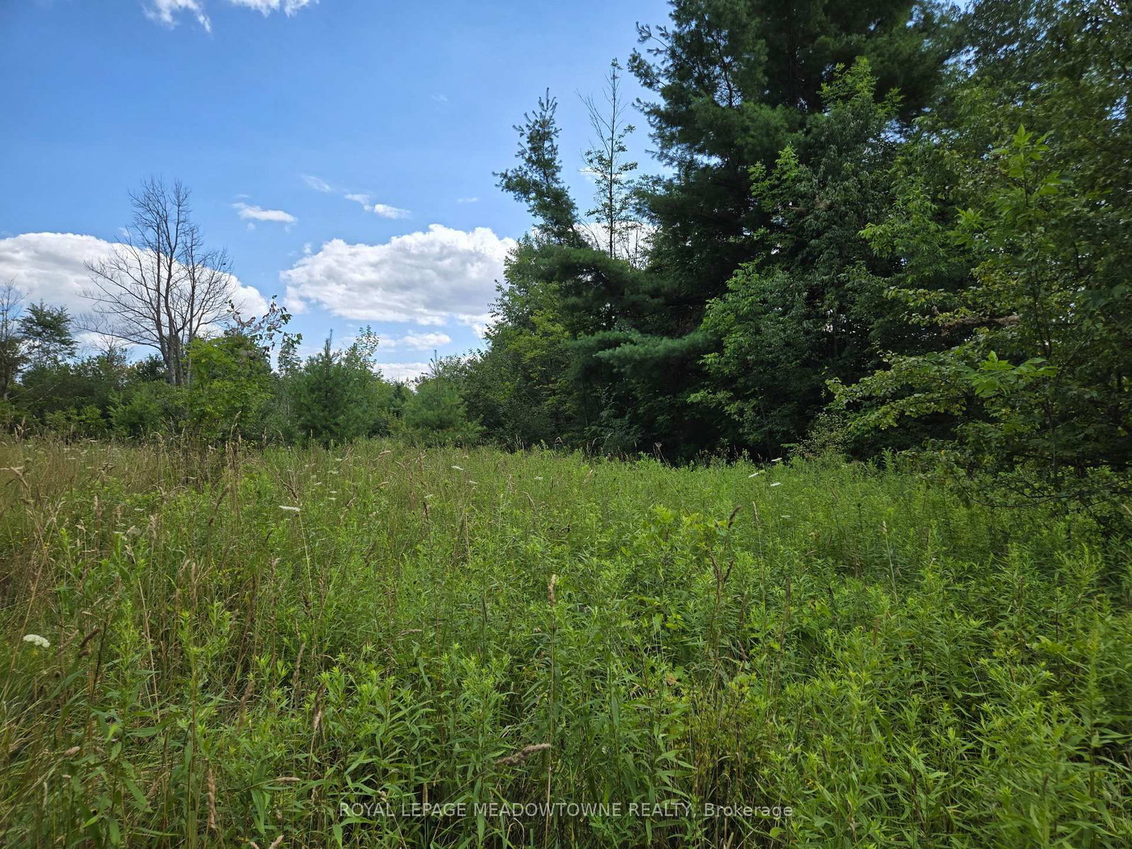 9414 First Line Nassagaweya • Milton, ON photo 12