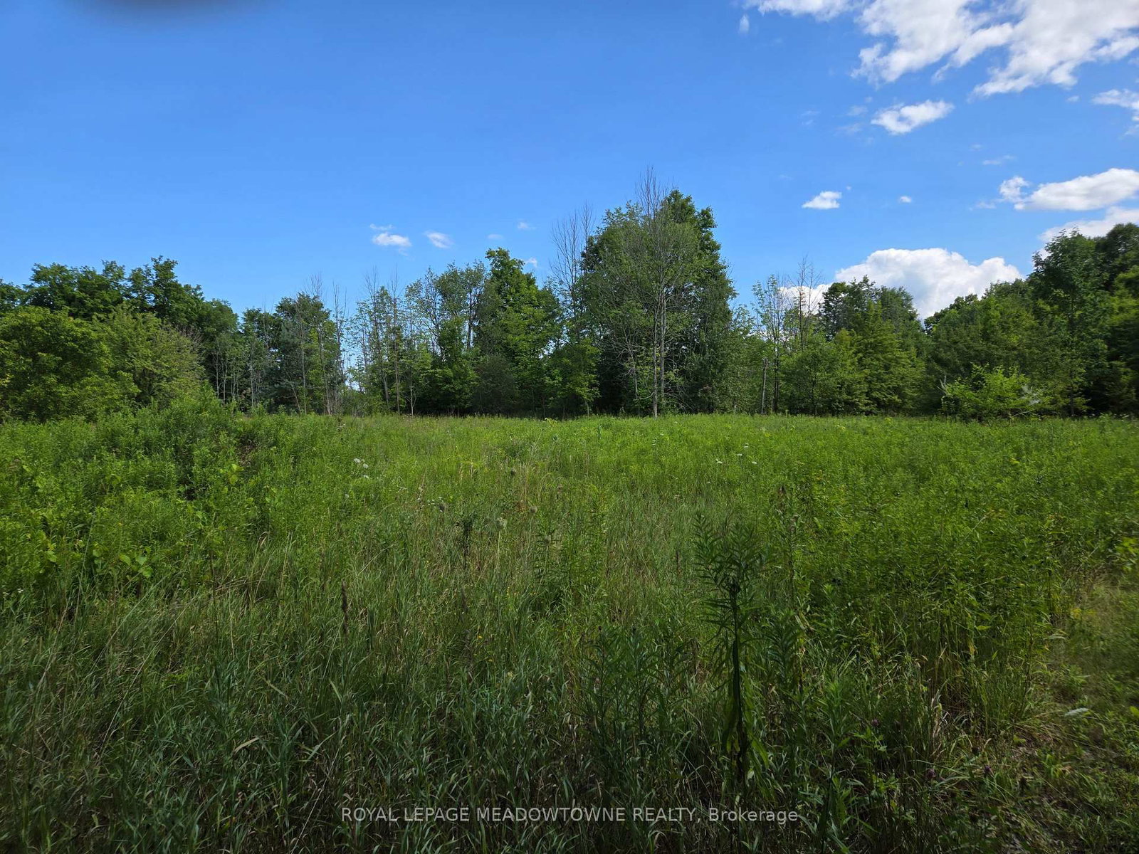 9414 First Line Nassagaweya • Milton, ON photo 15