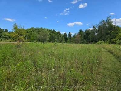 9414 First Line Nassagaweya • Milton, ON photo 5