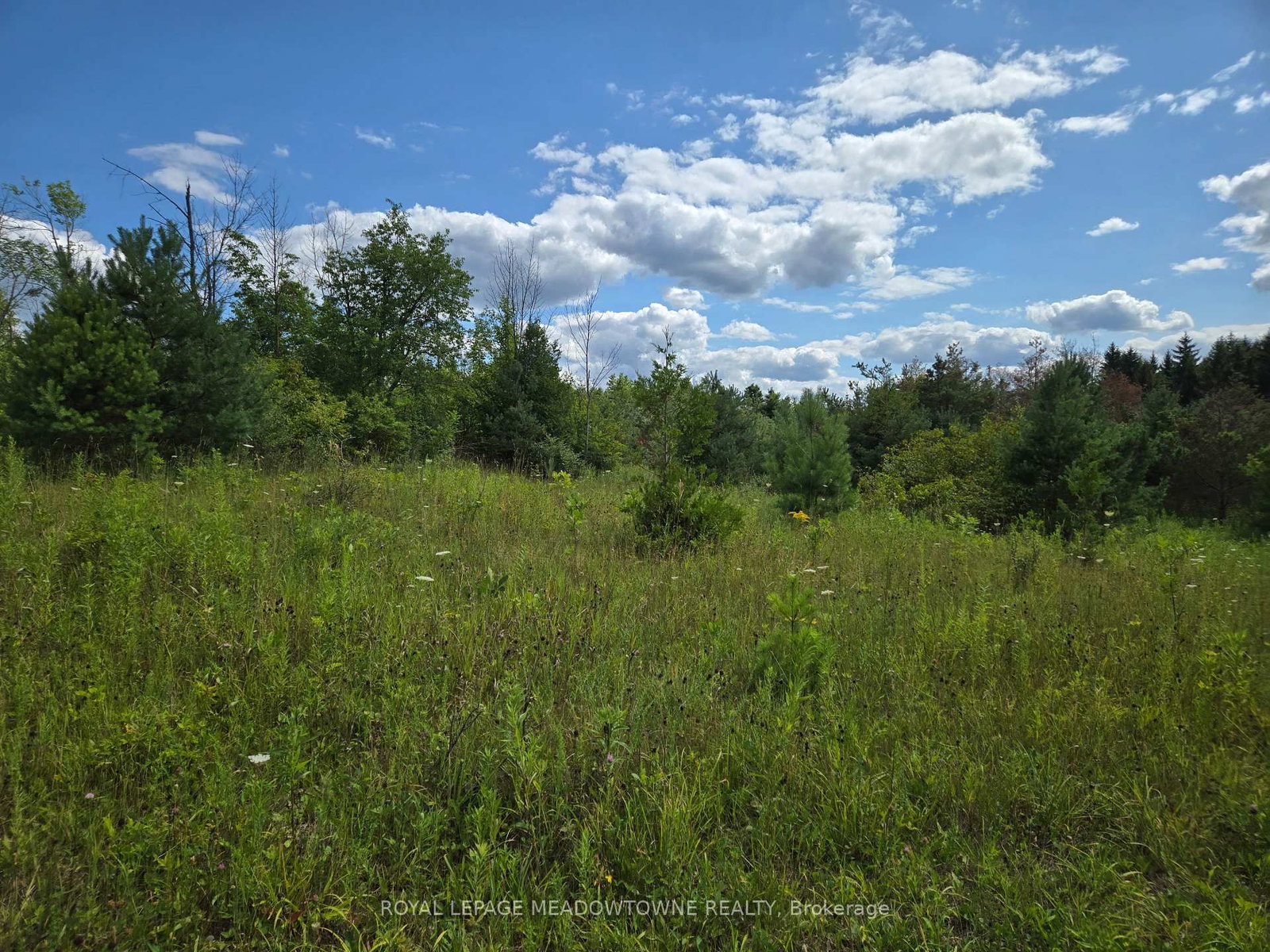 9414 First Line Nassagaweya • Milton, ON photo 8