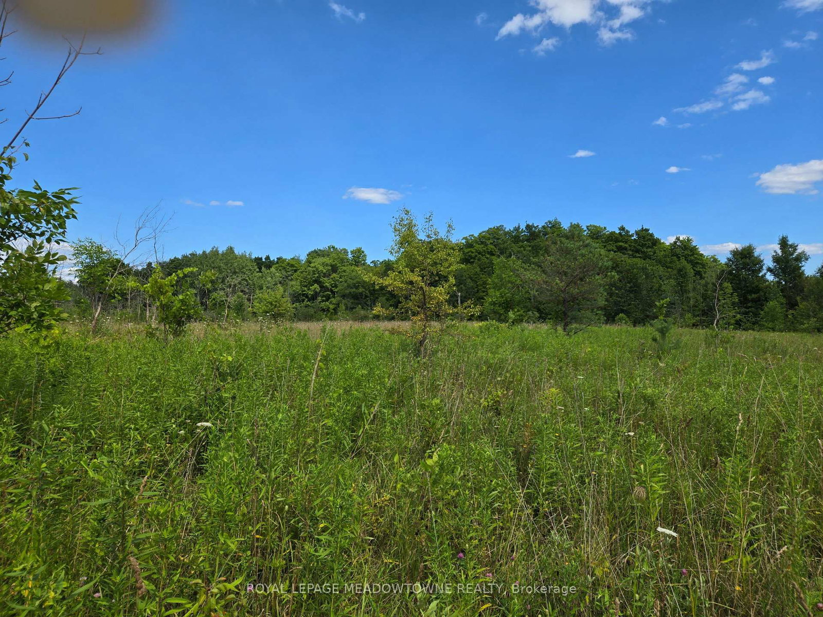 9414 First Line Nassagaweya • Milton, ON photo 9