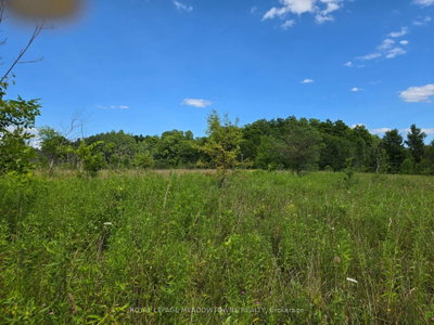 9414 First Line Nassagaweya • Milton, ON photo 9