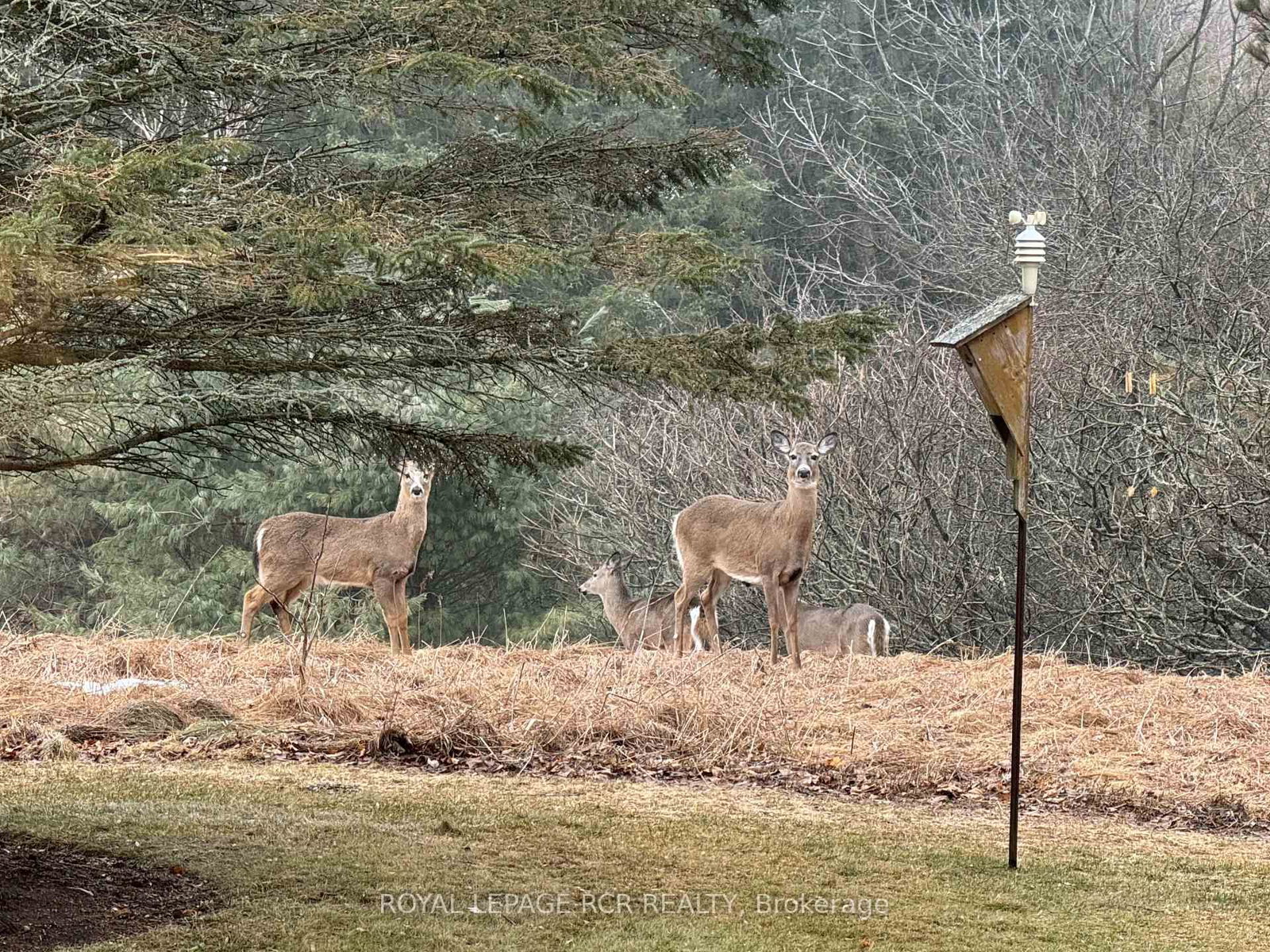 17270 Highway 50 Road • Caledon, ON photo 40
