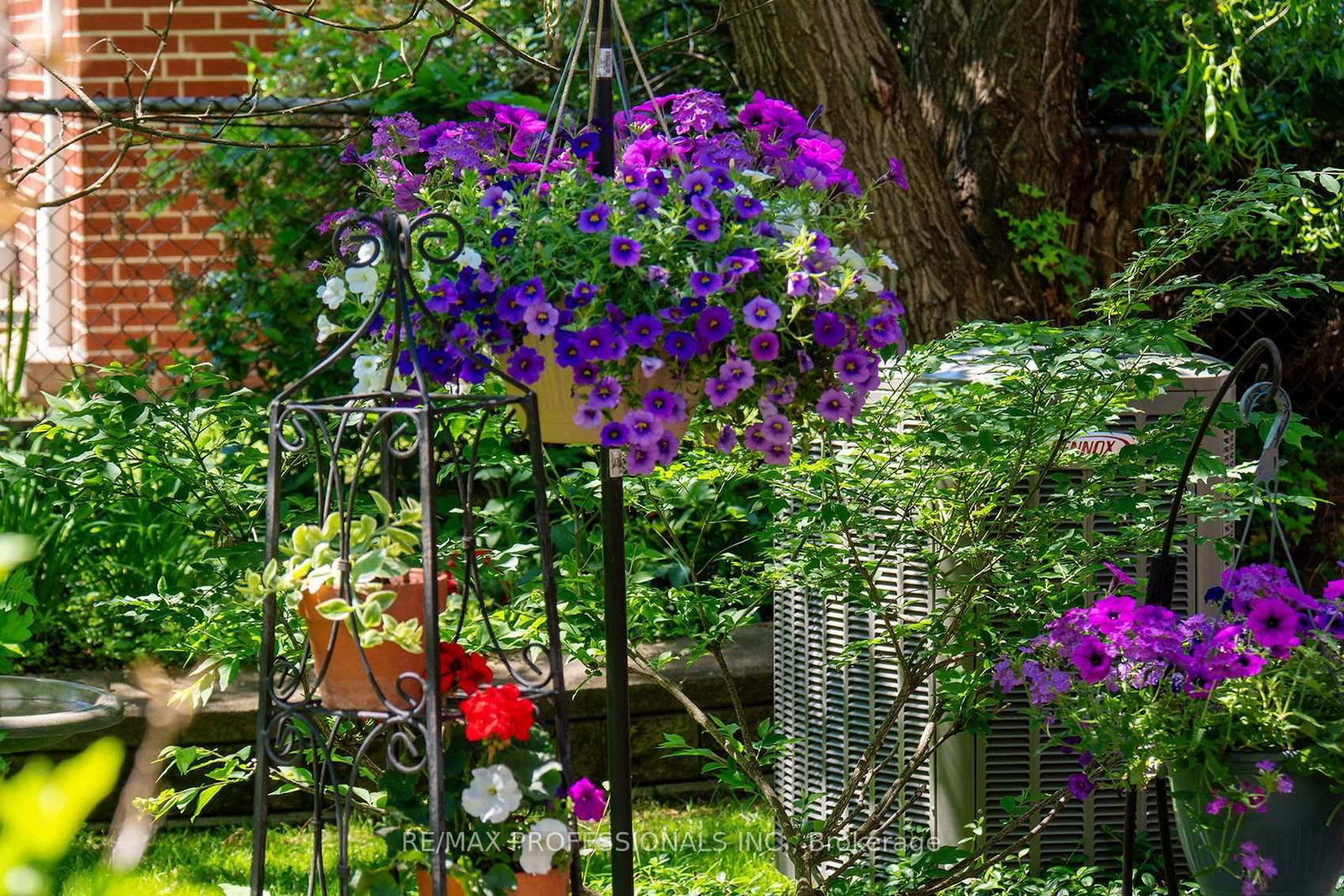 17 Clearside Place • Toronto, ON photo 35